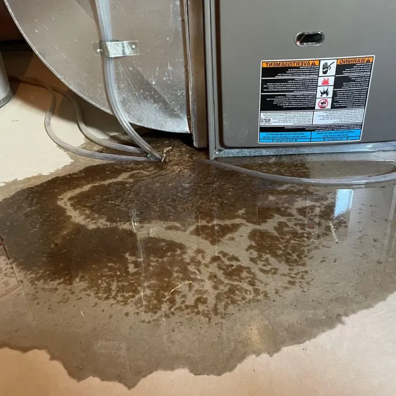 Pipe Burst and Leak Restoration in Southwest Greensburg, PA