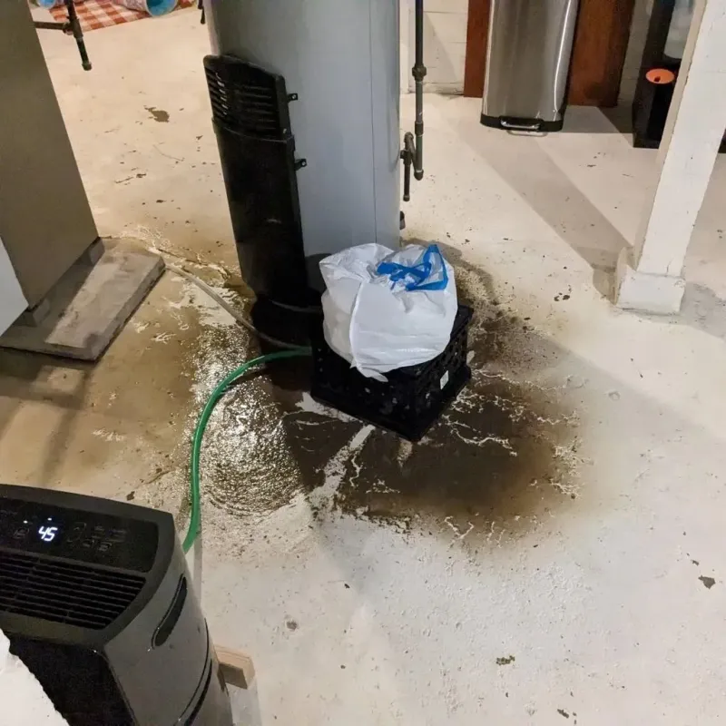 Sewage Backup Cleanup Service in Southwest Greensburg, PA